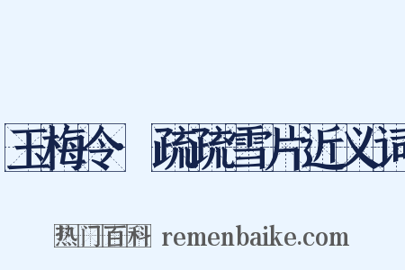 玉梅令·疏疏雪片近义词是什么意思的图片
